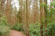 Woliński Park Narodowy